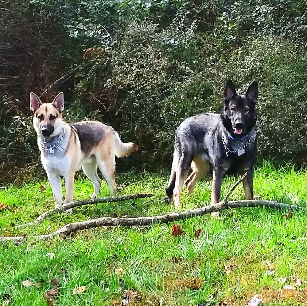 Meet your Posher, Dl